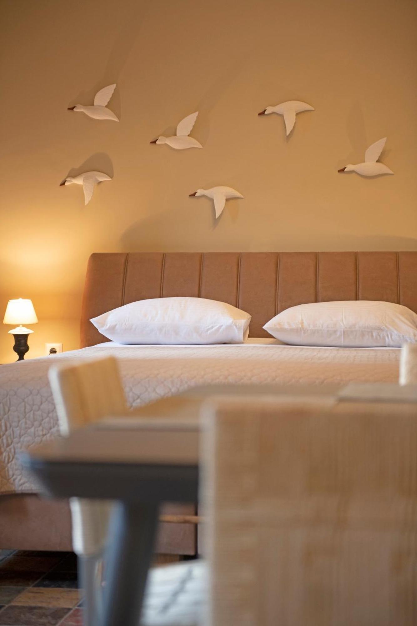 Seagulls' House Apartment Evdilos  Exterior photo
